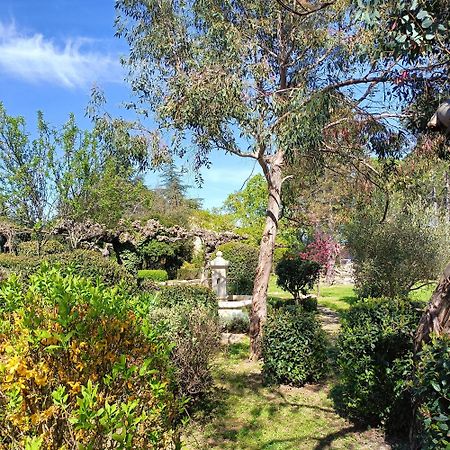 Vila L'Arbre Du Magnan Chandolas Exteriér fotografie